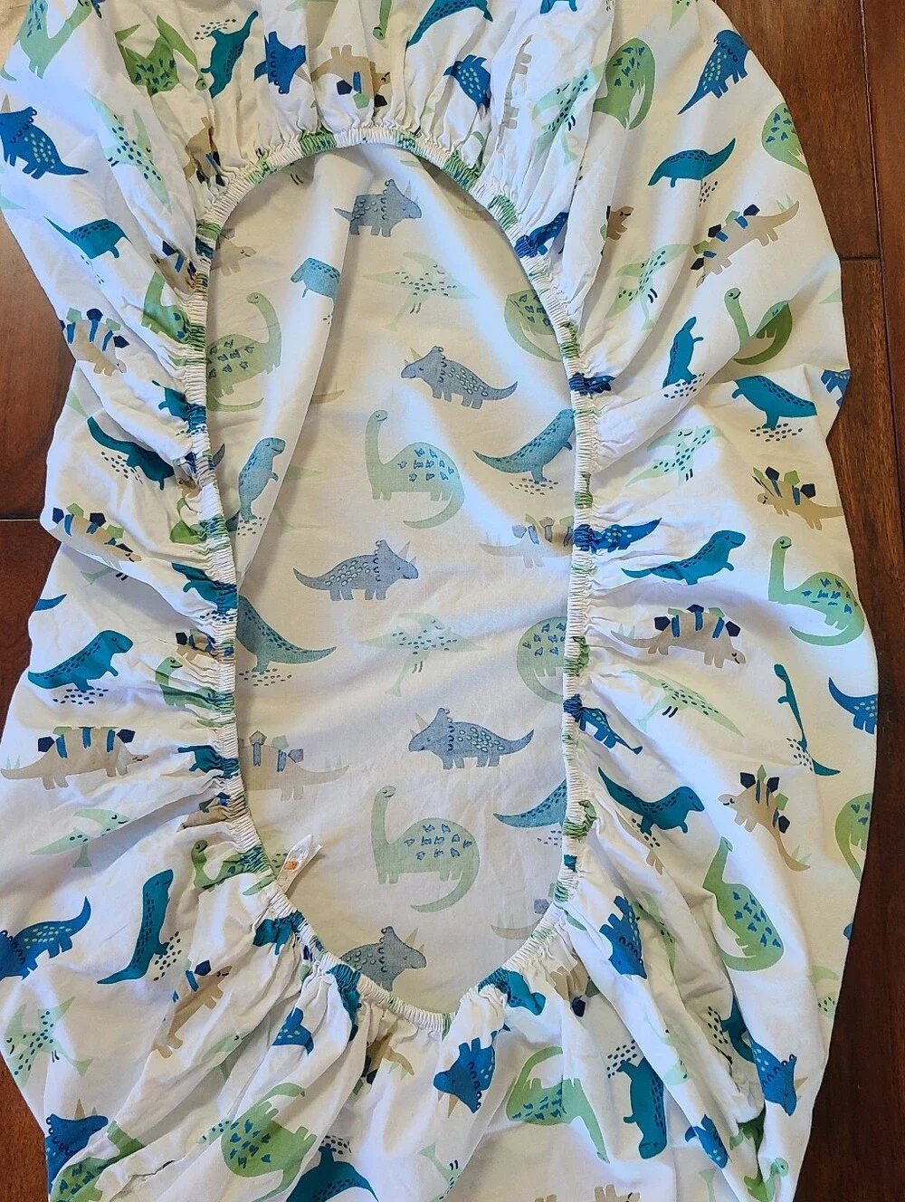 N/A dinosaur print